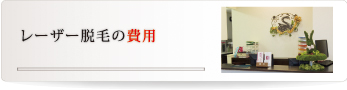 レーザー脱毛の施術の流れ