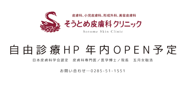 そうとめ皮膚科クリニック(自由診療)
